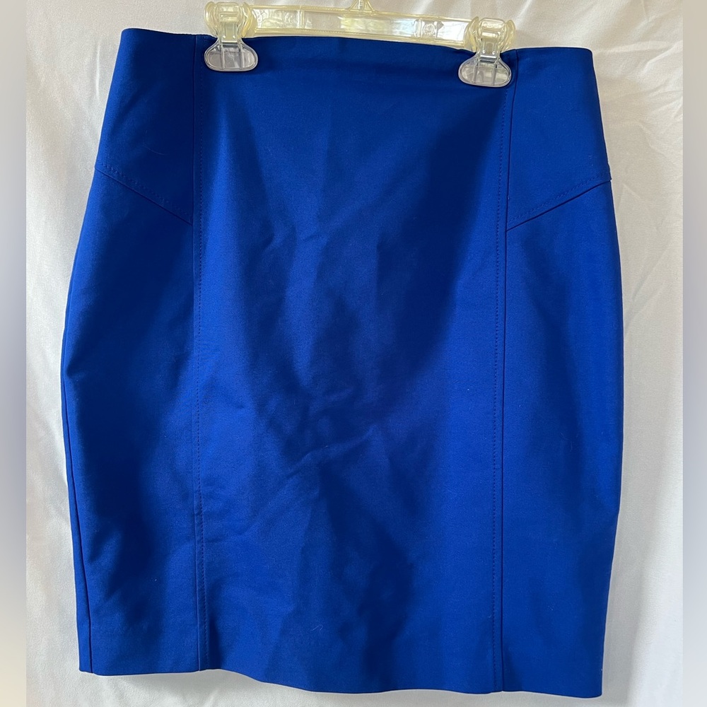 Elegant Cobalt Blue Skirt